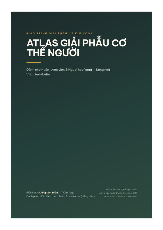 Bìa sách Atlas Giải Phẫu Cơ Thể Người cho Yoga