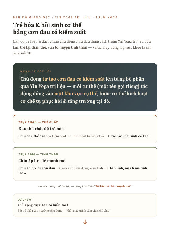 Bìa sách Bản đồ Yin Trị Liệu
