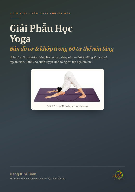 Bìa sách Giải Phẫu Học Yoga